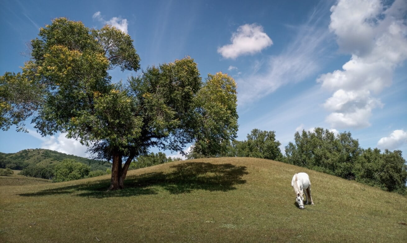 huawei-y9a-64mp-high-res-camera-01-price-in-pakistan