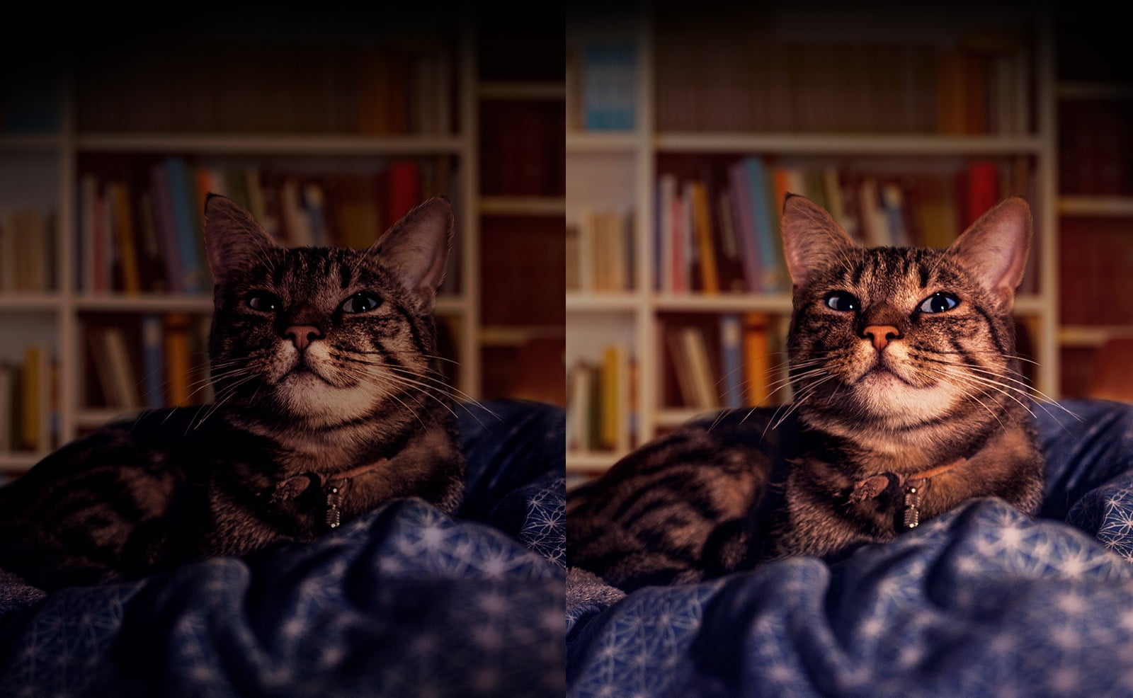 k51s-titan-03-quad-cell-technology-desktop